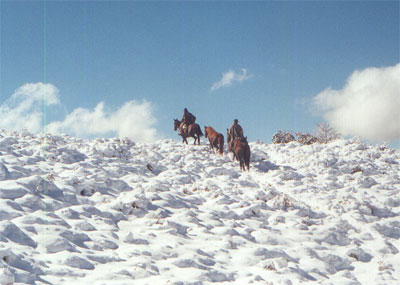 Cabalgata en la nieve