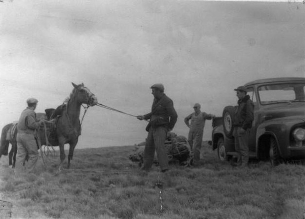 Trabajo de campo histórico